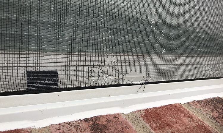 Window Screen Repair & Replacement