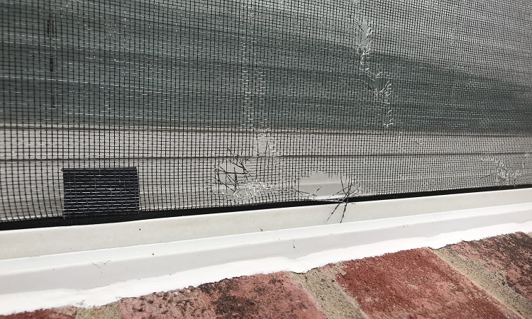 WINDOW REPAIR